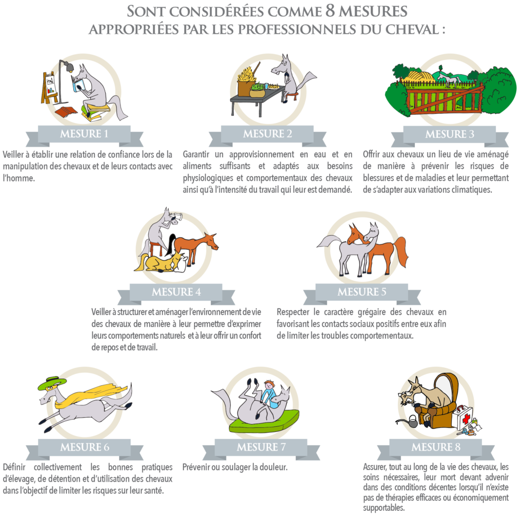 La Charte nationale pour le Bien Etre Equin se compose de 8 mesures de bien-être équin 