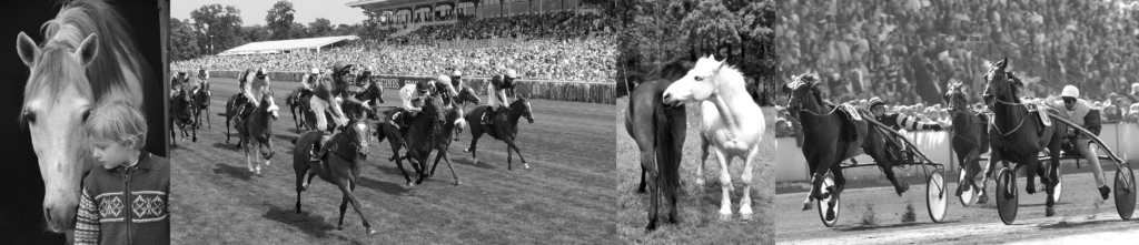 Fédération Nationale du cheval : une histoire intimement liée à celle du monde agricole et cheval